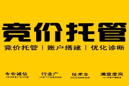 行业趋势下的SEM营销策略及成功案例研究